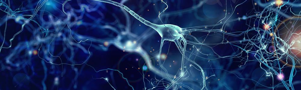 SYNAPSE: Synaptic plasticity, synapse loss, and proteinopathy in